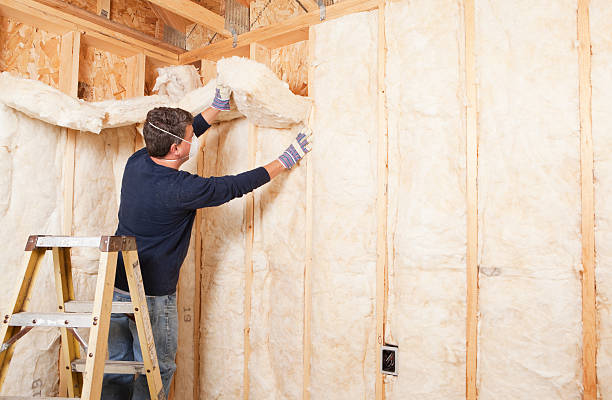 Professional Insulation Removal & Installation in Kotlik, AK